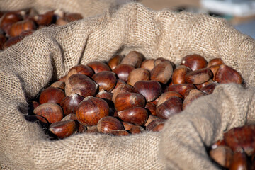 Beautiful brown ripe caldarroste or chestnuts in a jute sack or bag in a street food market, close up