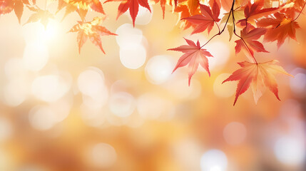 Autumn scenery, autumn scenery with falling maple leaves