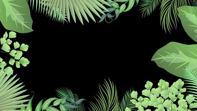 Tropical Plants Leaves in Border of Black Background. Tropic Green Natural Decorations. Animation, alpha 
