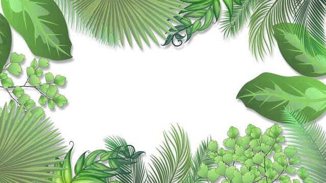 Tropical Plant leaves background Animation with copy space. Green Plant Leaf Decoration in Border or Greenery Frame  