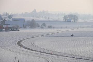 a horserider in a snow landscape in rural Switzerland