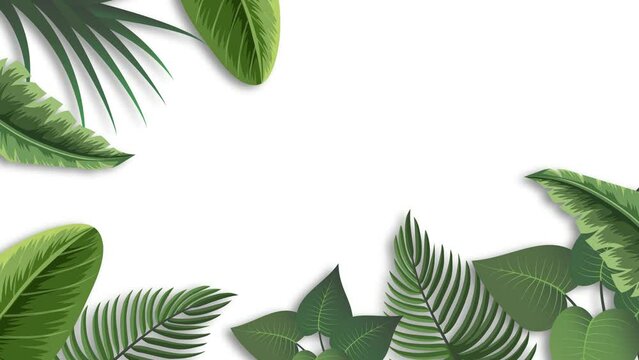 Tropical Plant decoration with leaves background Animation with copy space. Green Plant Leaf Decoration in Border or Greenery Frame  