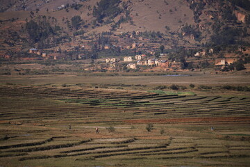 agricultural fields in rural Madagascar