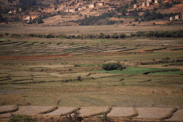 Naklejka premium agricultural fields in rural Madagascar