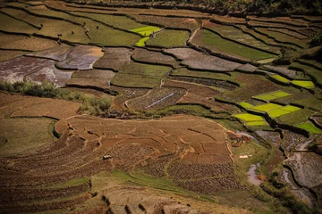 Deurstickers terraced rice fields in Madagascar © Marcel