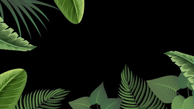 Tropical Black in Border of Black Background. Tropic Green Natural Decorations. Animation, alpha 