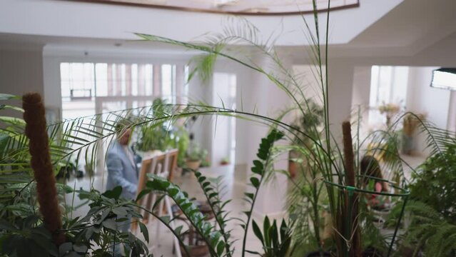 Exotic potted plants in artist studio