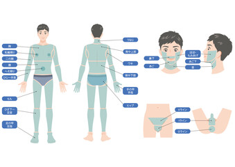 男性の全身の脱毛部位