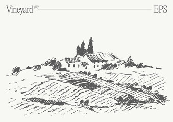 Vineyard Landscape. Vintage wine Label Background. Hand drawn vector illustration, sketch. - 736948694