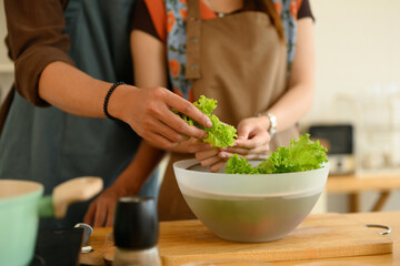 Cropped shot of young couple preparing a healthy vegetable salad at home