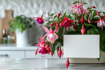 vibrant fuchsia flower with cascading petals spills over a ceramic pot. A small, white card rests beside it on a cool marble counter