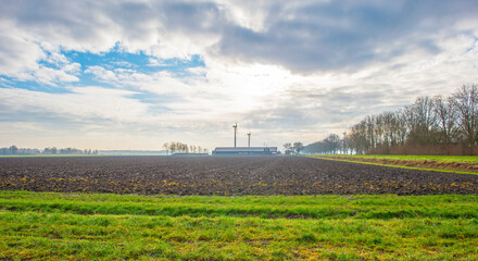 Agricultural field along a path in bright sunlight in winter, Almere, Flevoland,  Netherlands, February 13, 2024