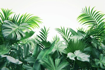 Lush green tropical leaves on a bright background, suitable for nature themes and botanical designs.