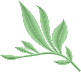 Obraz premium 3D illustration rendering of a bending branch with leaves of different sizes on a transparent background