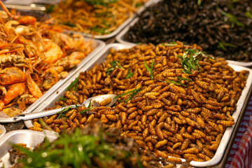 Fried Insect street food of Thailand