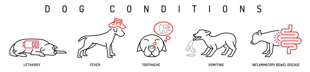 Dog health conditions icons. Hyperthermia, lethargy, vomiting in dogs. - 736957827