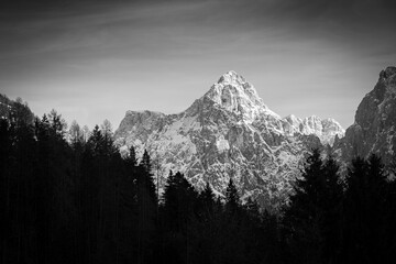 Montaña Alpes Julianos Eslovenos, con nieve y abetos, en blanco y negro.