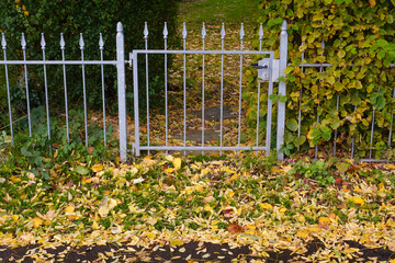 Herbstlaub vor einem Gartentor, Nordrhein-Westfalen, Deutschland, Europa