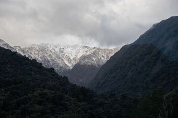 Naklejka premium snowy mountain behind treetops in new zealand