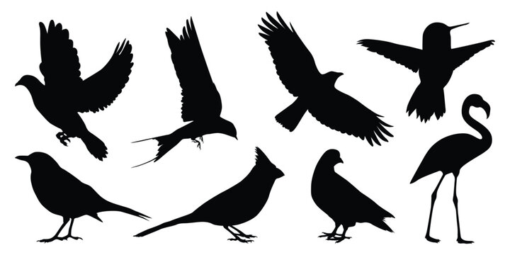 Flying and Sitting Bird Silhouettes vector