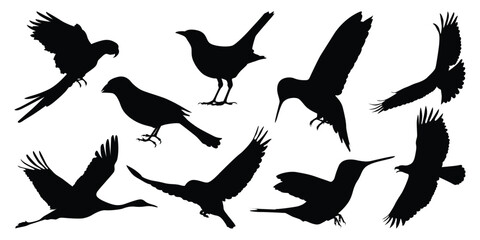 Flying and Sitting Bird Silhouettes vector