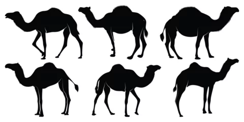 Foto op Plexiglas Black Walking Camel Silhouettes vector © JerinChowdhury