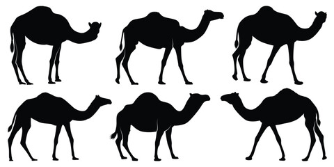 Black Walking Camel Silhouettes vector