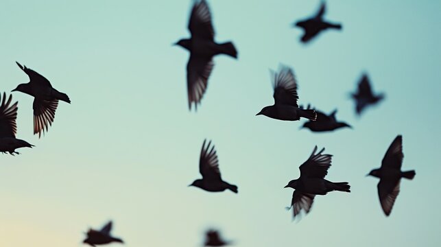 A flock of birds takes to the twilight sky, their silhouettes creating a dance of shapes against the fading light, a powerful image for themes of freedom and the natural world
