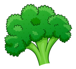 broccoli cartoon on white background