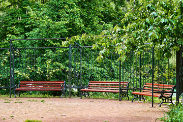 Summer spring park. Wooden benches, iron fence on a walking alley
