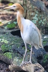 Port Douglas, Queensland, Australia