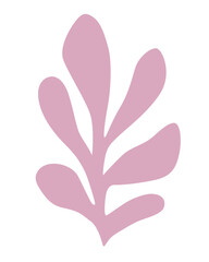 elegant pink nature plant silhouette