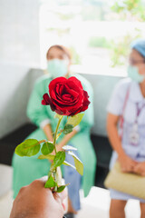 Give a rose to a nurse