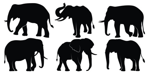 Animal Elephant Silhouettes vector illustration