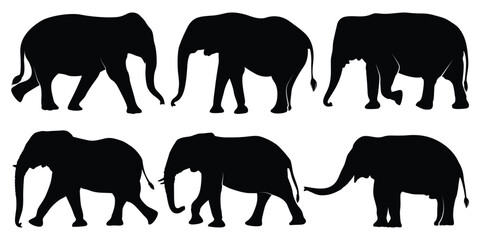 Animal Elephant Silhouettes vector illustration - obrazy, fototapety, plakaty