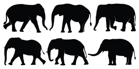 Foto op Aluminium Animal Elephant Silhouettes vector illustration © JerinChowdhury