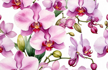 whimsical, watercolor floral background, orchids, isolated, on a clear white background, perfect composition, high detail, illustration