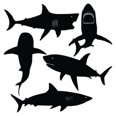 sea animal Shark silhouettes Vector illustration