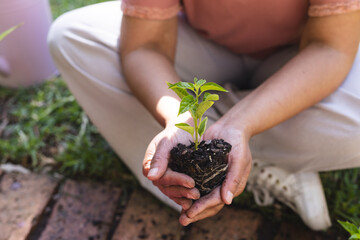 Close-up of hands nurturing a young plant outdoors
