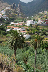 Fototapeta na wymiar Palmeras y paisaje rural en Hermigua, La Gomera, islas Canarias