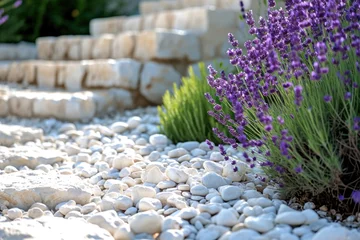 Fotobehang Lavender in Landscape Design  Aromatic French Provence in the Garden © darshika