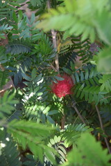 This is photo of nature environment at Dulhadev temple, Khajuraho temple in India