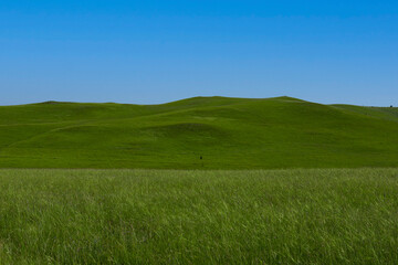 A picturesque view of the green steppe hills, pastures stretching into the distance.