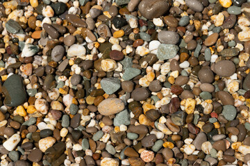 Background of small colored pebbles on the beach