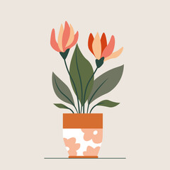 Nice home plant in a pot isolated on a gray background. Blooming flower.