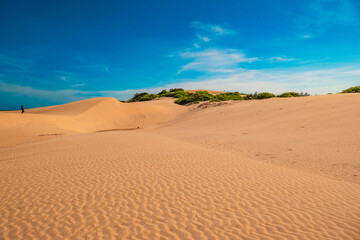 Scenic view of Mambrui sand dunes in Mambrui beach in Malindi, Kenya © martin