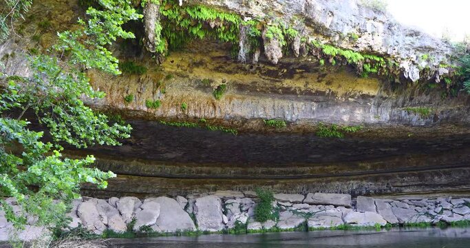 Static video of a rock wall and cave entrance at the Hamilton Pool Preserve in Wimberly Texas.  Cliff Swallows and nest can be seen under the rock ledge.