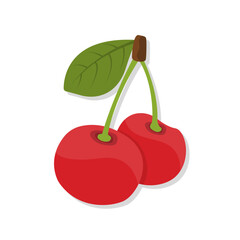 Fresh fruit cherry cartoon illustration