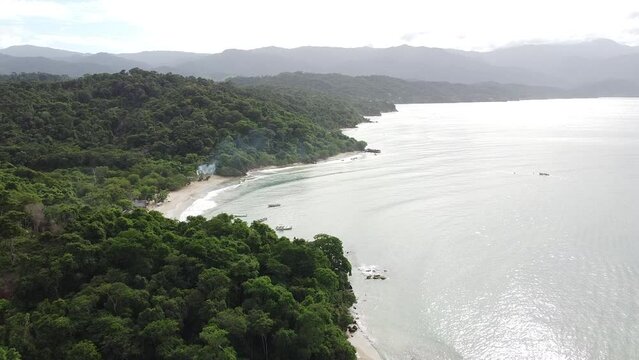 aerial view of beautiful caribbean beach in the Venezuela coast. Drone shot of white sand and pristine tropical landscape with wild forest in the town of Chuspa