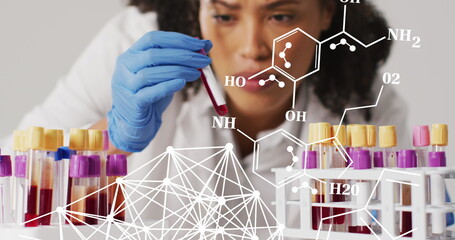 Image of chemical structures over biracial female doctor with test tubes